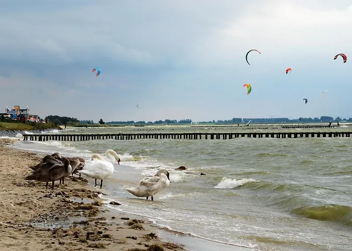 Uit Alle Windstreken